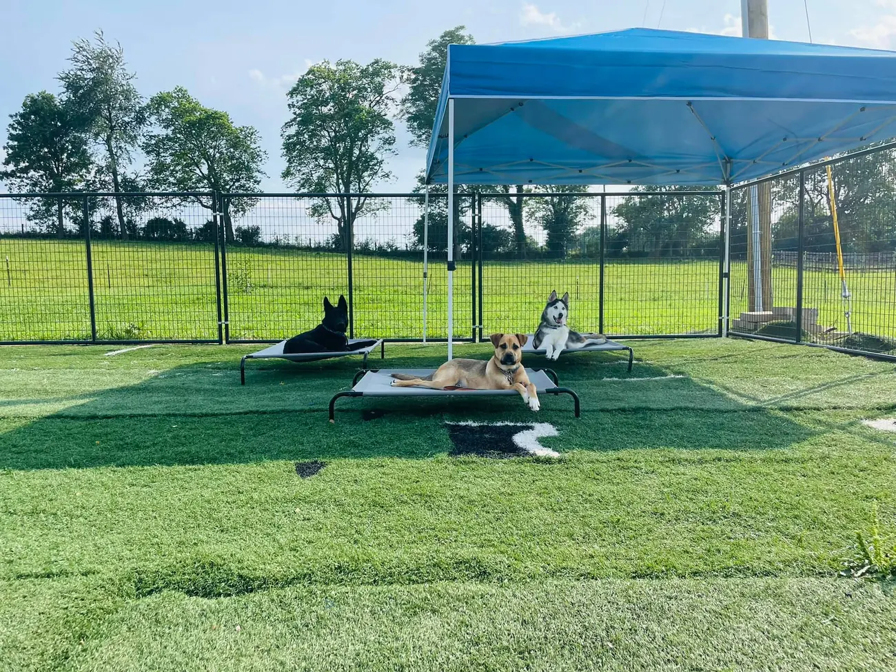 Covered turf training and boarding area at the Midway facility