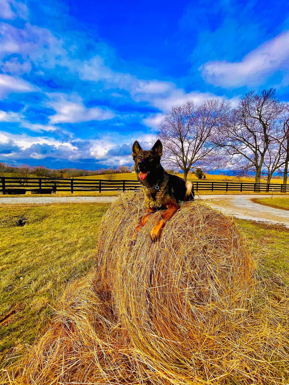 Place work on the farm
