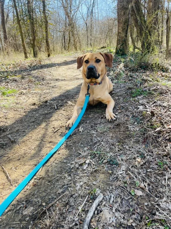 Long-line work on the trail