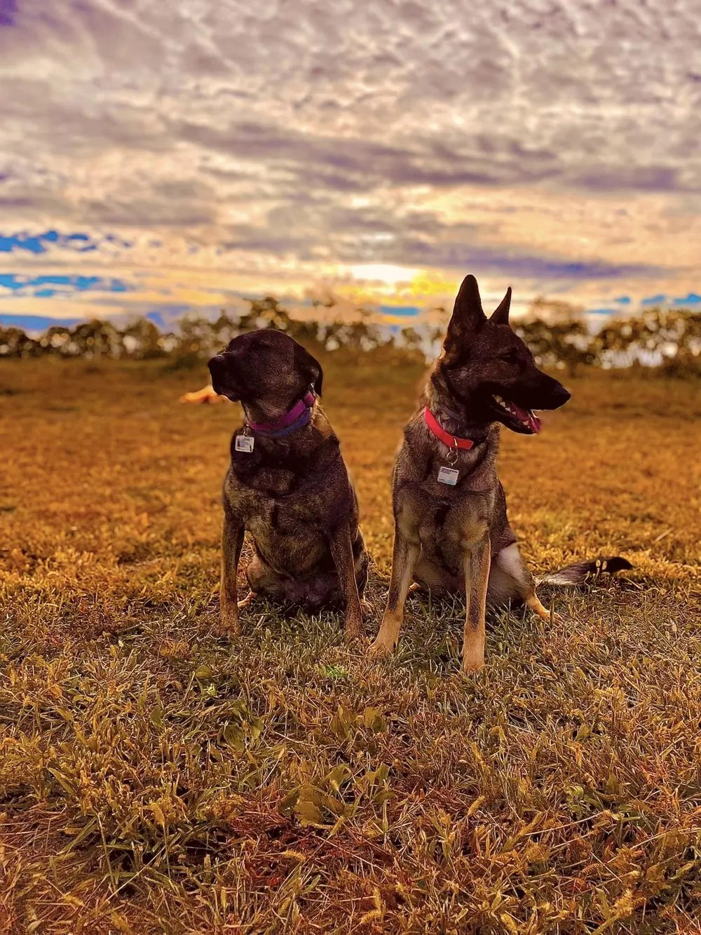 Evening session at sunset
