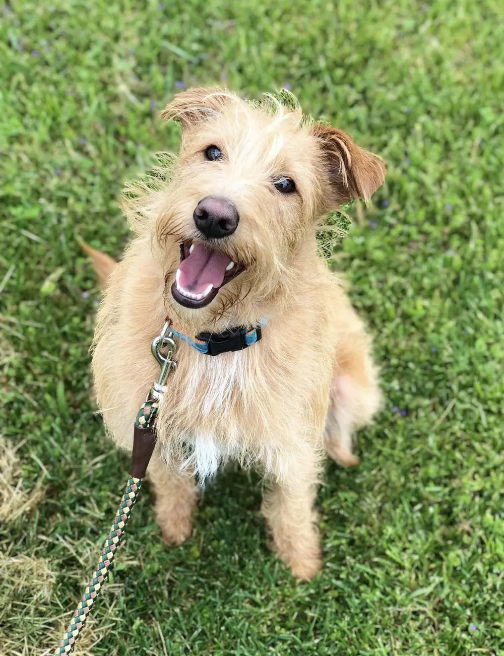 All smiles after training